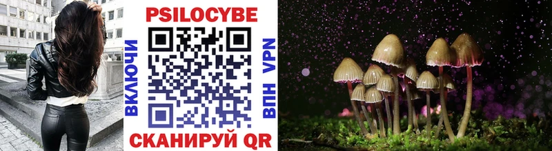 Галлюциногенные грибы MAGIC MUSHROOMS  где продают   Курган 