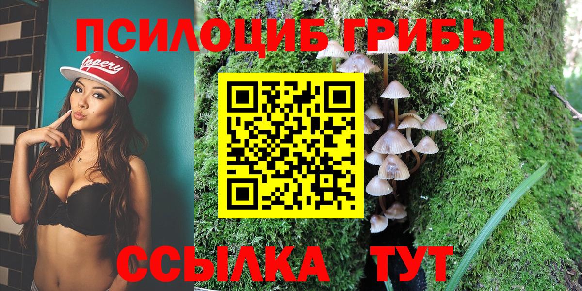 Галлюциногенные грибы Psilocybe  Псилоцибиновые грибы Psilocybine cubensis  купить   Курган  Вход с VPN 