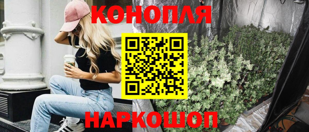 Курган  Бошки марихуана сатива  Шишки марихуана марихуана  Вход с VPN  Бошки Шишки тримм 